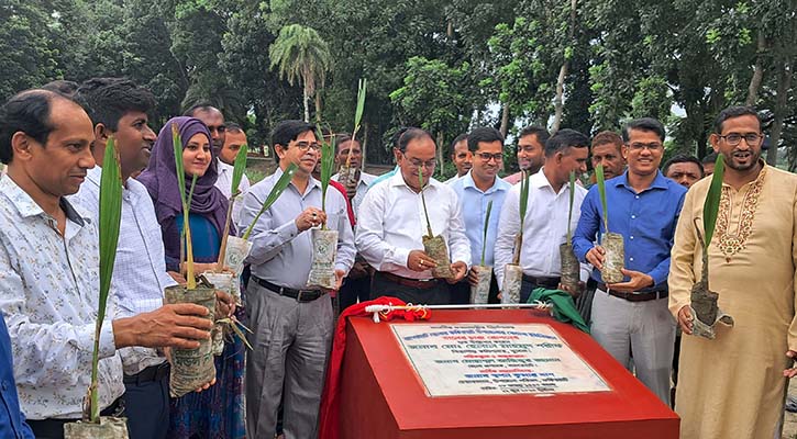 বজ্রপাত রোধে বাগেরহাটে এক লাখ তাল চারা রোপণের উদ্যোগ